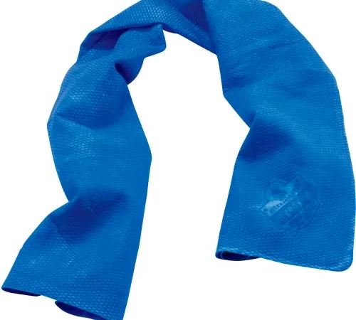 Ergodyne® Chill-Its® 6602 Cooling Towel, Blue, One Size