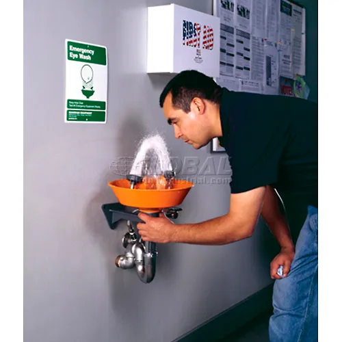 Guardian Equipment Eye Wash Fountain, G1814P - Image 3