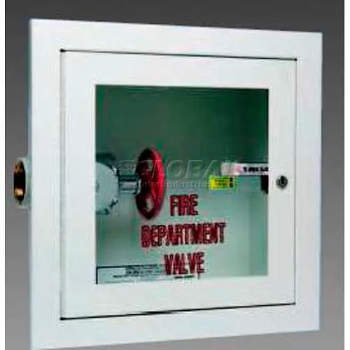 Potter Roemer Alta Steel Valve Cabinet, Surface Mount, 20"Lx20"Hx9-1/4"D