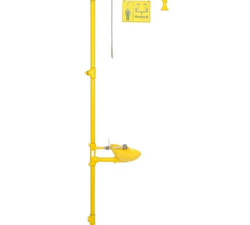 Bradley® Eyewash, Plastic Bowl & Showerhead, S19314EW
