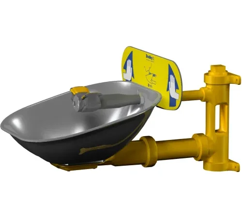 Bradley® Eyewash, SS Bowl - S19224B