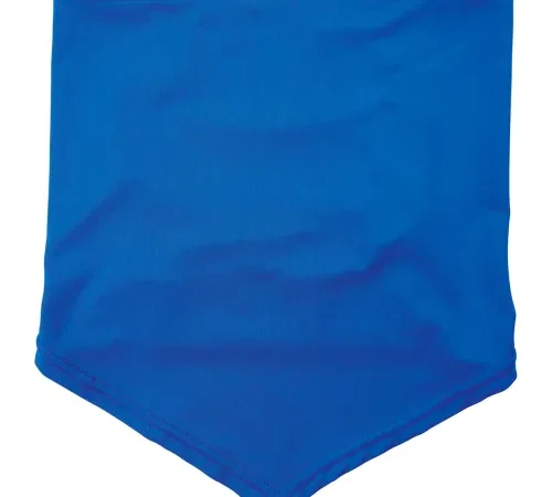 Ergodyne® Chill-Its® 6483 Cooling Neck Gaiter Bandana w/ Pocket, L/XL, Blue