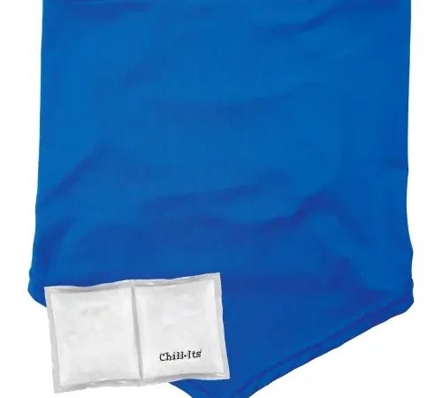 Ergodyne® Chill-Its® 6482 Cooling Neck Gaiter Bandana w/ Pocket, L/XL, Blue