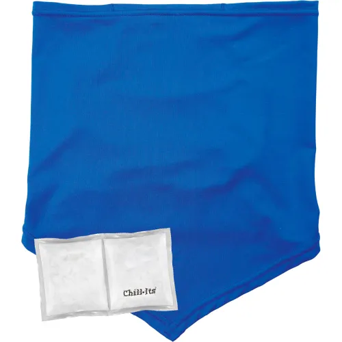 Ergodyne® Chill-Its® 6482 Cooling Neck Gaiter Bandana w/ Pocket, L/XL, Blue