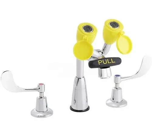 Speakman SEF-1800-CA Lead Free Eye Saver Faucet