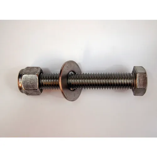 Werner® Replacement Stainless Steel Bolts, 4"L x 5/8"W, Pack of 10