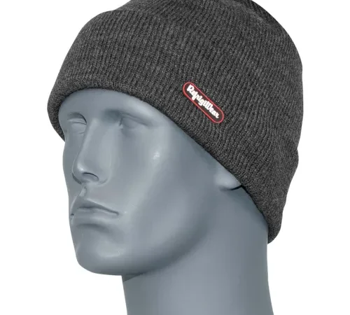 RefrigiWear® Watch Cap, Charcoal, One Size, 0045RCOAOSA