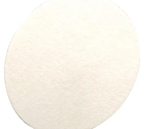 MSA Hydrophobic Probe Filter for Altair® 5/5X, 710917