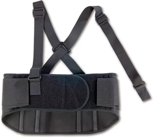 Ergodyne® ProFlex® 1600 Standard Elastic Back Support, Black, Small