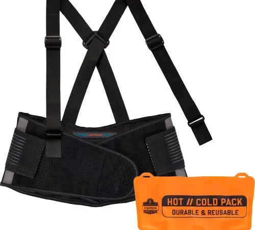 Ergodyne® ProFlex® 1675 Back Support Brace with Cooling/Warming Pack, L, Black