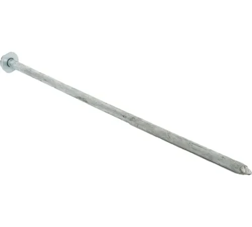 12" Galvanized Spike and Washer