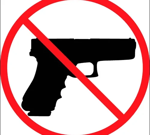 Zing Concealed Carry Sign, Kansas, 8"W x 8"H, Recycled Plastic