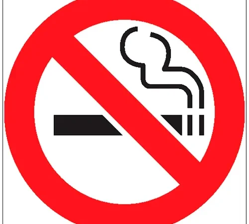 Zing No Smoking Window Decal, No Smoking Symbol, 6"W x 6"H, Recycled Polystyrene, Pack of 2